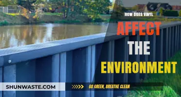 Vinyl's Environmental Impact: Sustainability Concerns and Eco-Friendly Alternatives