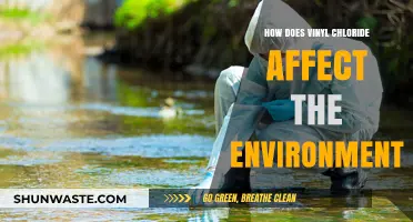 Vinyl Chloride's Environmental Impact: Pollution, Health Risks, and Ecosystem Damage