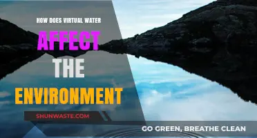 Virtual Water's Hidden Impact: Environmental Consequences of Global Trade