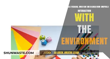 Visual Motor Integration: Enhancing Environmental Interaction and Daily Functionality