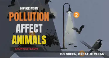 Visual Pollution's Impact on Animals: A Disturbing Reality