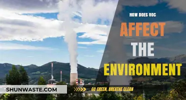 VOCs' Environmental Impact: Air, Water, and Ecosystem Consequences Explained