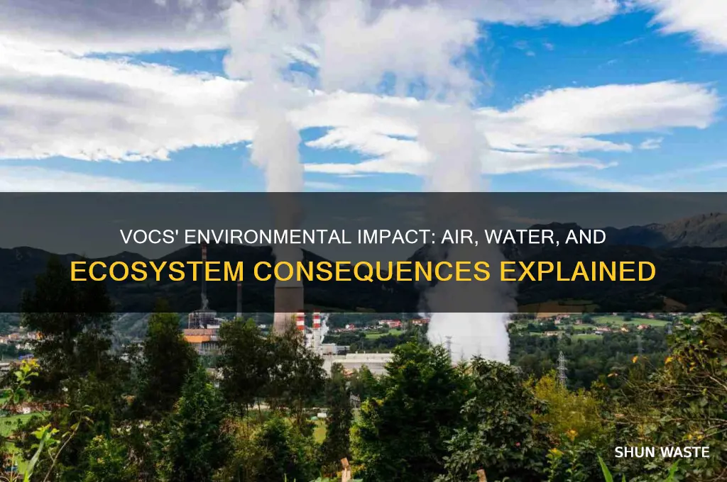 how does voc affect the environment