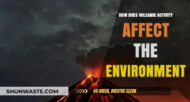 Volcanic Eruptions: Environmental Impacts and Ecosystem Transformations Explained