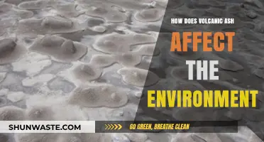 Volcanic Ash Impacts: Environmental Consequences and Ecosystem Disruptions Explained