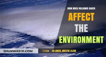 Volcanic Gases: Environmental Impacts and Atmospheric Consequences Explained