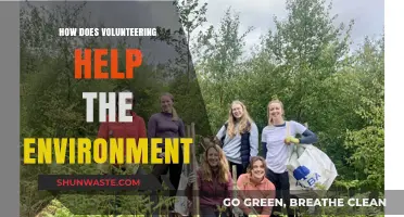 Volunteering for a Greener Future: Environmental Impact and Community Action