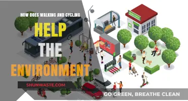 Walking and Cycling: Eco-Friendly Ways to Reduce Carbon Footprint