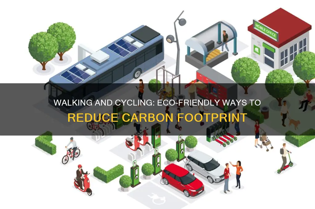 how does walking and cycling help the environment