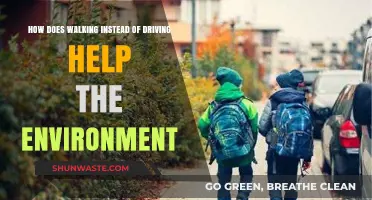 Walking Over Driving: Simple Steps for a Greener, Healthier Planet