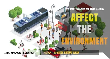 Eco-Friendly Commutes: Walking and Biking's Impact on Our Planet