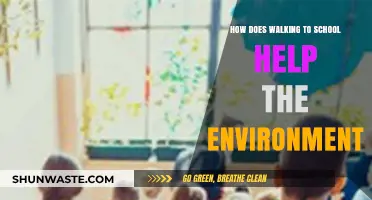 Walking to School: Simple Steps for a Greener, Healthier Planet