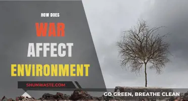 War's Devastating Impact: How Conflict Destroys Our Environment and Ecosystems