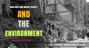 War's Devastating Ripple Effects: Society, Environment, and Long-Term Consequences