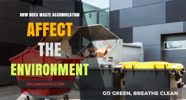 Waste Accumulation's Devastating Impact on Our Environment and Ecosystems
