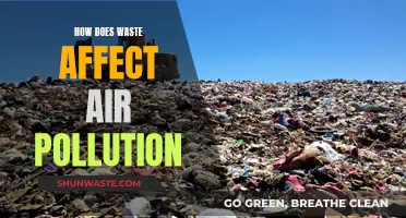 Waste Management: Air Pollution's Unseen Impact