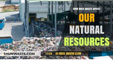 Waste's Impact: Depleting Natural Resources and Threatening Our Planet's Future