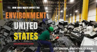 Waste's Impact: Environmental Consequences in the United States Explored