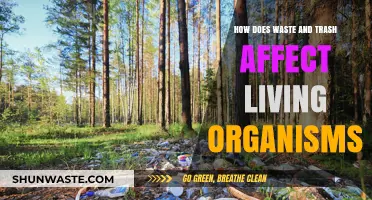 Waste's Impact: How Trash Harms Living Organisms and Ecosystems