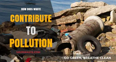 Waste's Impact: Understanding Pollution's Persistent Problem
