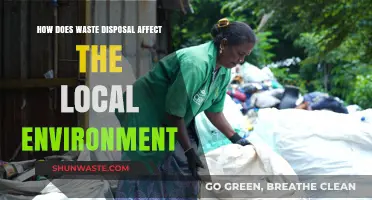 Waste Disposal's Impact: How Local Ecosystems Suffer and Solutions