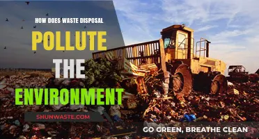 Waste Disposal: Environmental Impact and Pollution