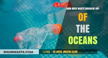 Ocean Waste Dissolution: Understanding How Pollutants Break Down in Seas