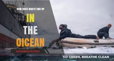 From Land to Sea: Tracing the Journey of Waste into Oceans
