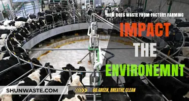 Factory Farming Waste: Devastating Environmental Impacts and Urgent Solutions