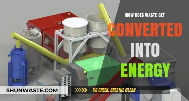 Transforming Trash to Power: The Science Behind Waste-to-Energy Conversion