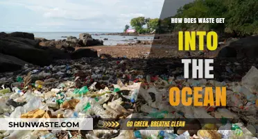 The Ocean's Garbage: Where Does It Come From?