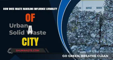 Efficient Waste Management: Key to Enhancing Urban Livability and Sustainability