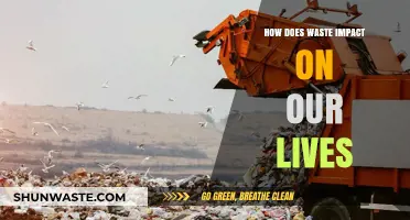 Waste's Hidden Toll: How Trash Shapes Our Daily Lives and Future