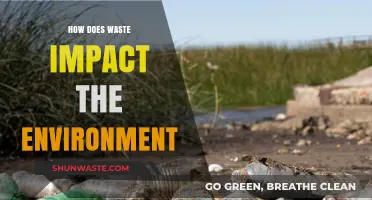 Waste's Devastating Environmental Impact: Pollution, Climate Change, and Ecosystem Destruction