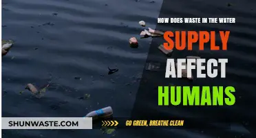 Toxic Waters: How Waste in Water Supply Threatens Human Health
