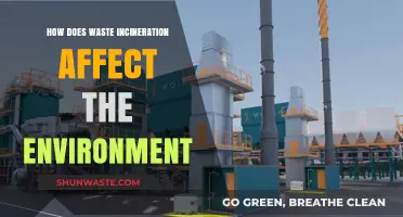 Waste Incineration's Environmental Impact: Air, Soil, and Health Concerns