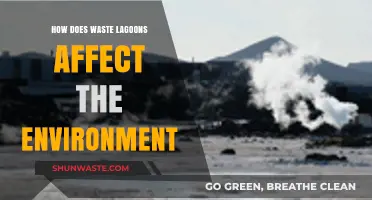 Waste Lagoons' Environmental Impact: Pollution, Ecosystem Disruption, and Health Risks