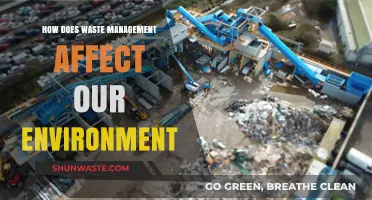 Waste Management's Impact: Protecting Our Environment for a Sustainable Future