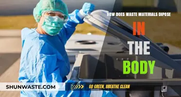 Understanding the Body's Natural Waste Disposal Mechanisms and Processes