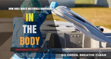 Understanding the Body's Waste Disposal System: Processes and Pathways