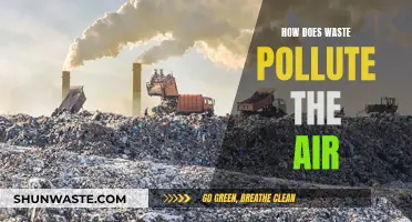 Waste Disposal: Air Pollution's Unseen Hazard