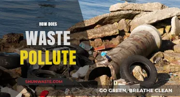 Waste Disposal: Pollution's Root Cause