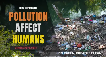 Waste Pollution: Harming Humans and the Environment