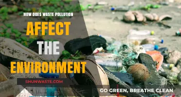Waste Pollution's Devastating Impact on Our Environment and Ecosystems