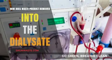 Dialysis Waste Removal: How Toxins Transfer into Dialysate