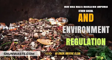 Waste Regulation: A Catalyst for Social and Environmental Transformation