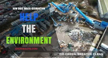Waste Segregation: A Key Step Towards a Greener, Healthier Planet