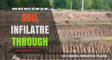 How Soil Absorbs Waste: Understanding Infiltration and Its Impact