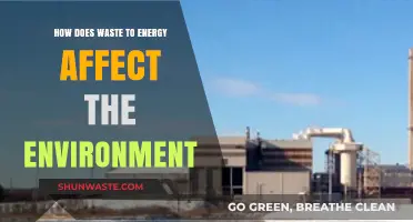 Waste-to-Energy: Environmental Impacts, Benefits, and Sustainability Challenges Explored