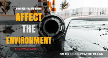 Wastewater's Environmental Impact: Pollution, Ecosystems, and Sustainable Solutions
